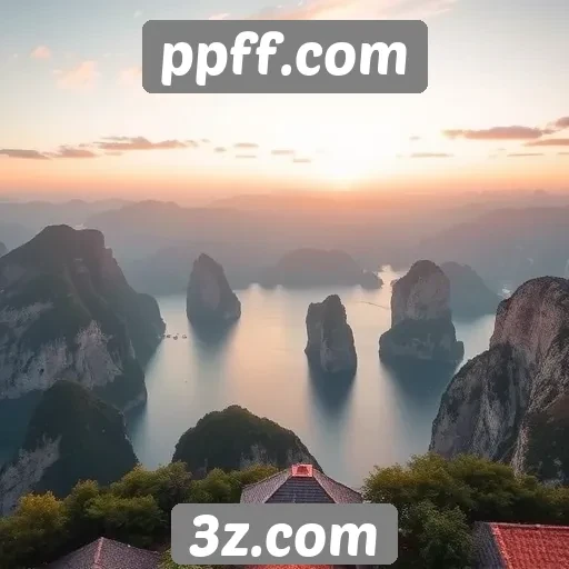 Guia de navegação para iniciantes no site ppff.com